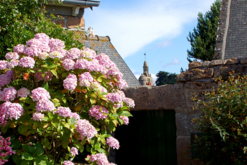« Les petite maisons typiques à Bréhat... »
