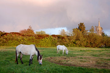 La chapelle bretonne et les chevaux...