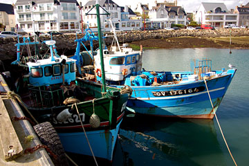 Le port du Guilvinec...