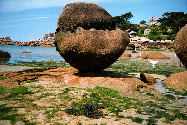 « En forme de champignon... »