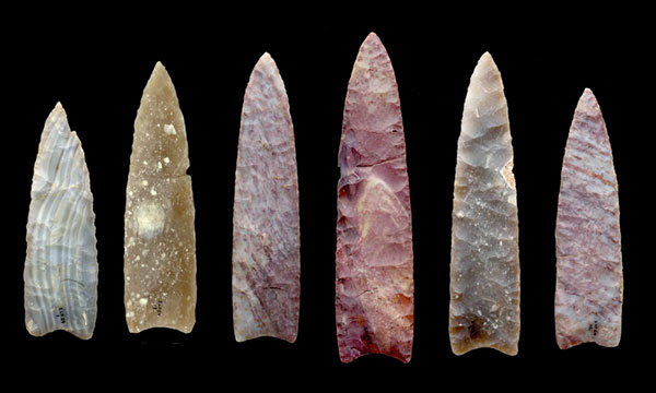Pointes de flèche de la culture Clovis Découvertes à Drake Cache dans le Colorado