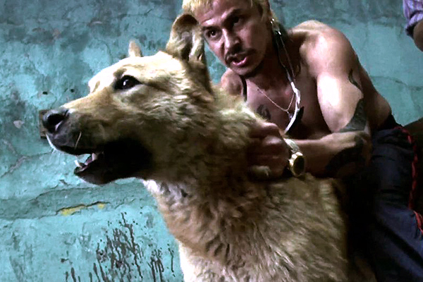 Octavio et son chien de combat dans « Amour Chiennes » - « Amores Perros »
