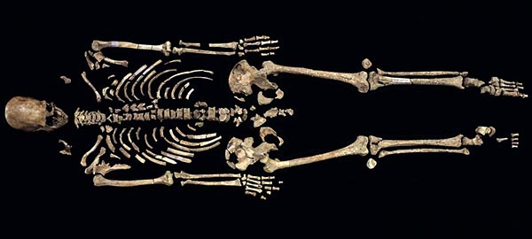 Le squelette de « L'homme de Kennewick »